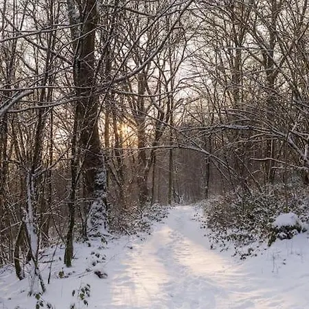 Le Renard Roux * Vresse-sur-Semois