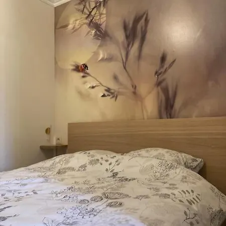 Le Renard Roux * Vresse-sur-Semois