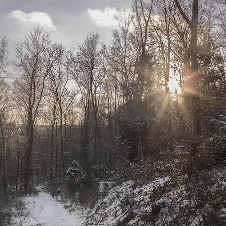 Διαμέρισμα Le Renard Roux Vresse-sur-Semois