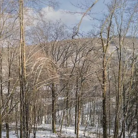 Le Renard Roux Διαμέρισμα