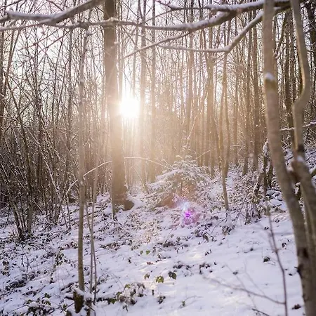 Le Renard Roux Apartment