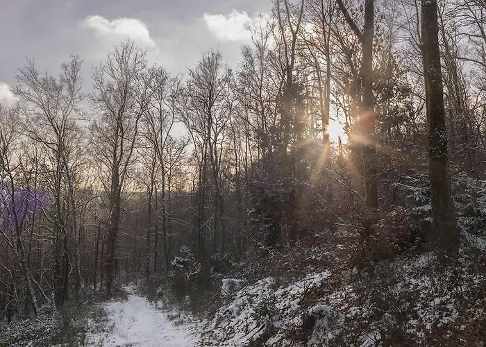 Apartament Le Renard Roux Vresse-sur-Semois