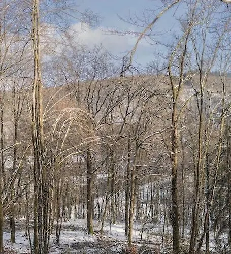 Le Renard Roux Apartament