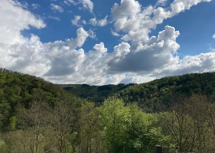 Le Renard Roux Vresse-sur-Semois